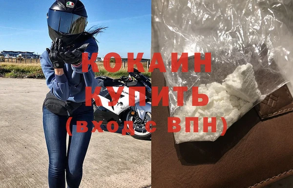дживик Осташков