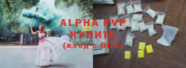 спайс Богданович