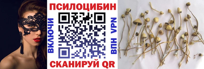 Галлюциногенные грибы MAGIC MUSHROOMS  Буйнакск 