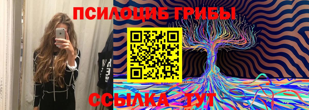 Псилоцибиновые грибы MAGIC MUSHROOMS Буйнакск