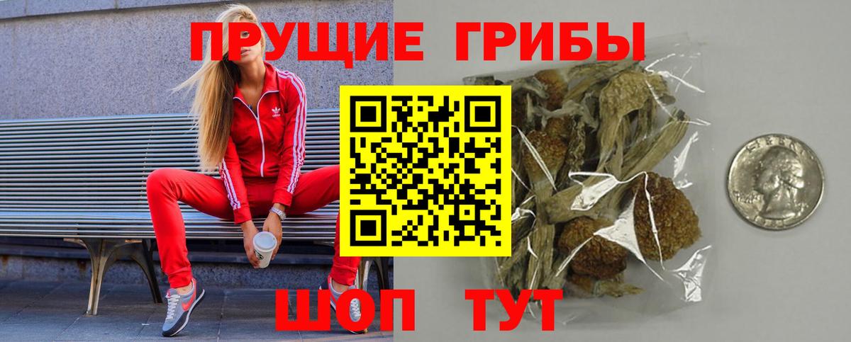 Галлюциногенные грибы мухоморы  Вход с VPN  Буйнакск  Псилоцибиновые грибы Psilocybe 